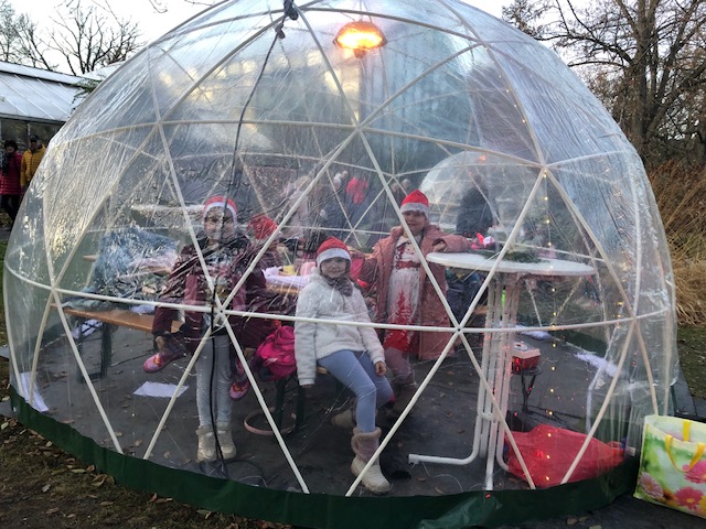 Lichtergarten im Botanischen Garten Jena